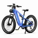 DUOTTS E26 BP E-Bike