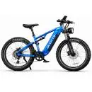 DUOTTS E26 BP E-Bike