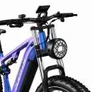 DUOTTS E26 BP E-Bike