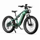 DUOTTS E26 GP E-Bike
