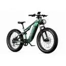 DUOTTS E26 GP E-Bike