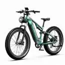 DUOTTS E26 GP E-Bike