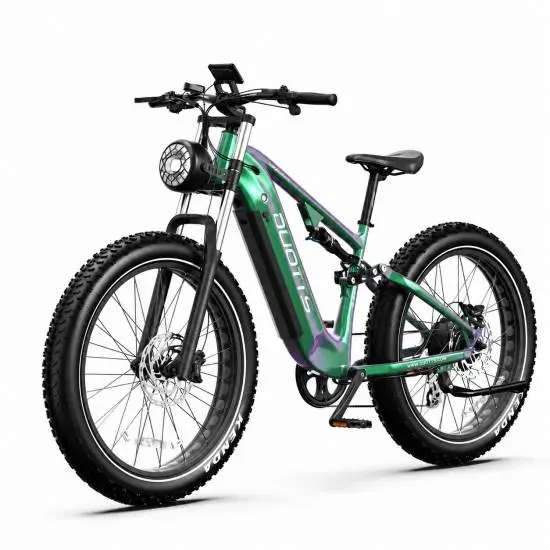 DUOTTS E26 GP E-Bike