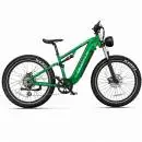 DUOTTS E26 GP E-Bike