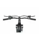 DUOTTS EBIKE C29 Lite Електрически Велосипед 29