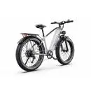 DUOTTS EBIKE F26 Lite Silver Електрически Велосипед 26" 960W Fat Tire