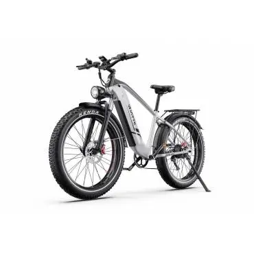 DUOTTS EBIKE F26 Lite Silver