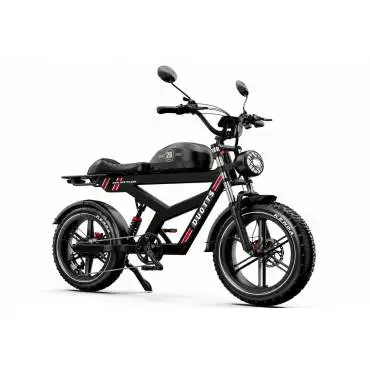 DUOTTS F20 elektrische fiets