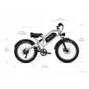 DUOTTS N26 Silver Електрически Велосипед 26" 750W