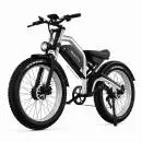 DUOTTS N26 Silver Електрически Велосипед 26" 750W