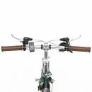 OneSport OT02 Green E-Bike