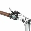 OneSport OT02 Red E-Bike