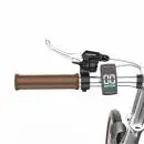 OneSport OT02 Red E-Bike